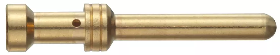 TERMINAL MACHO DORADO 1,5 MM2