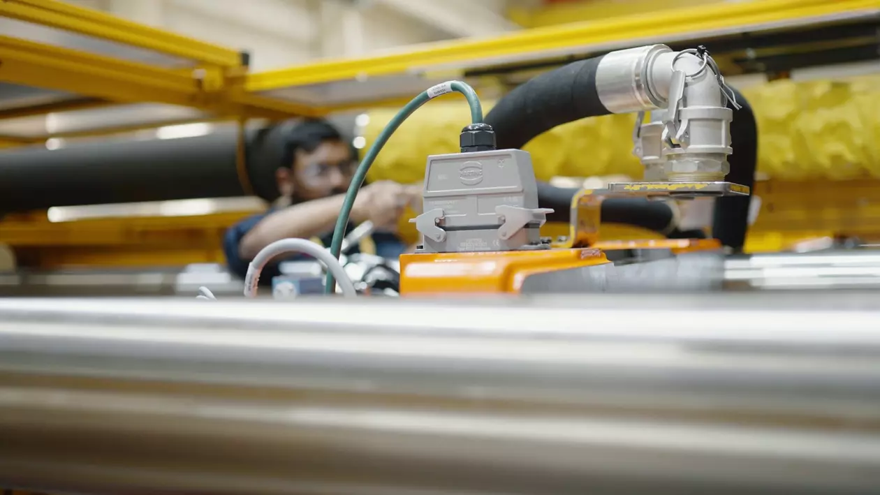 Husky - Closeup # 4.jpg