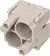 Han-Quintax module, female