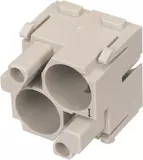 Han-Quintax module, female