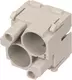 Han-Quintax module, female