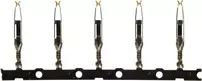 FEDER-KONT-F-CRIMP3-AFS22500-AUF-HAS