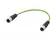 M12 D-coded Cable Assembly