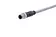 M12 A-cod 3-pol st /- m /- PVC 5.00m