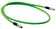 M8 Cable Assembly D-cod st/st m/m 0,5m