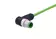 M12 Cable Assembly D-cod an/- m/- 2,0m