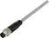 M8 Cable Assembly 4-poles st/- m/- 1,0m