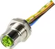 M12-PFT-CRIMP-8P-YCOD-F-SHLD-1.0