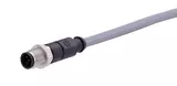 M12 A-cod 5-pol st /- m /- PVC 5.00m