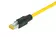 RJI 10G RJ45 plug Cat6, 8p IDC straight