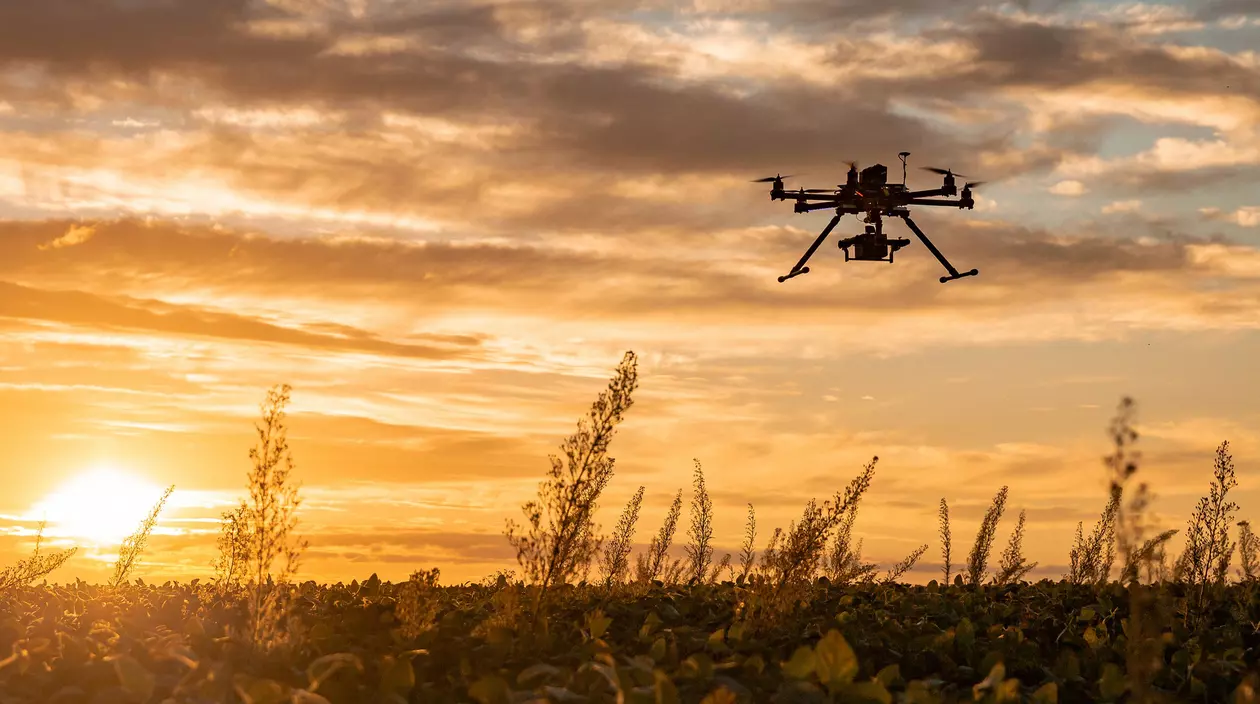 2025-06_GettyImages-1306713383_Drone in a soybean field_cropped.jpg