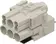 Han-Mod_M_SHLD.P_4/4_M_D_CRT