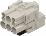 Han-Mod_M_SHLD.P_4/4_M_D_CRT