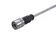 M12 A 4p m/- st/- PVC shld 2m