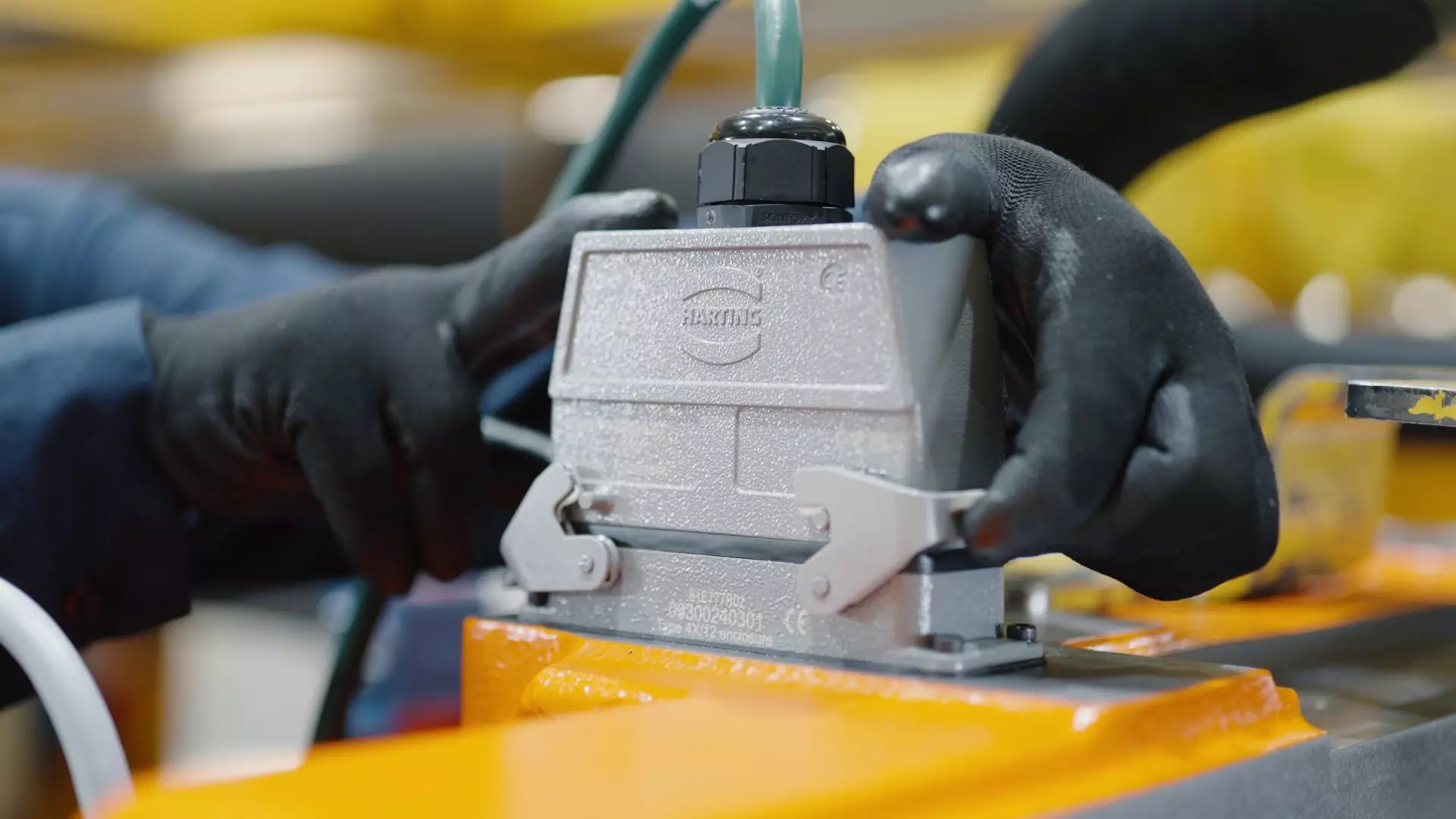 Husky - Closeup # 3.jpg