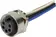 7/8 Cable Assembly 4p+PE st/- f/- 0,5m