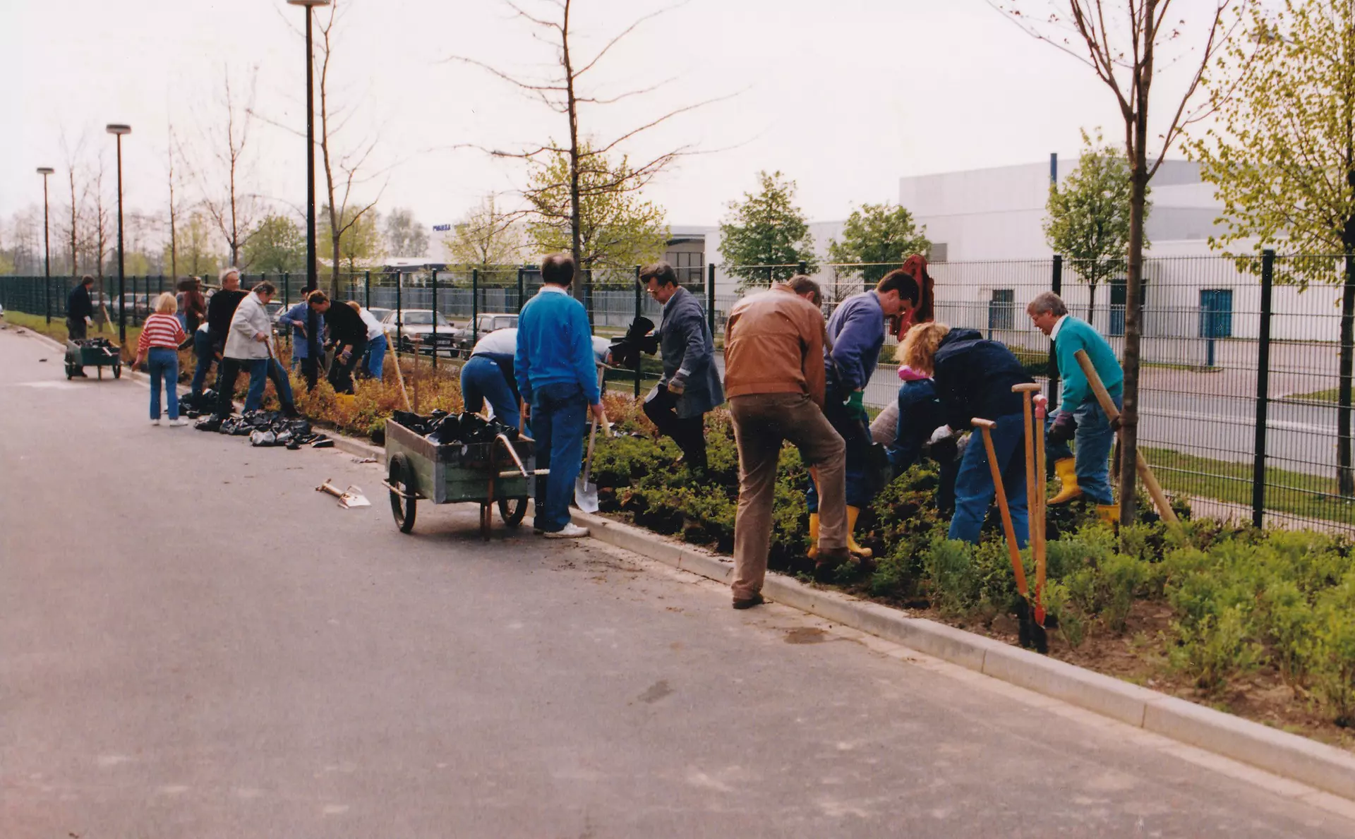 1991 - Une rue, plusieurs arbres : oui, une avenue !