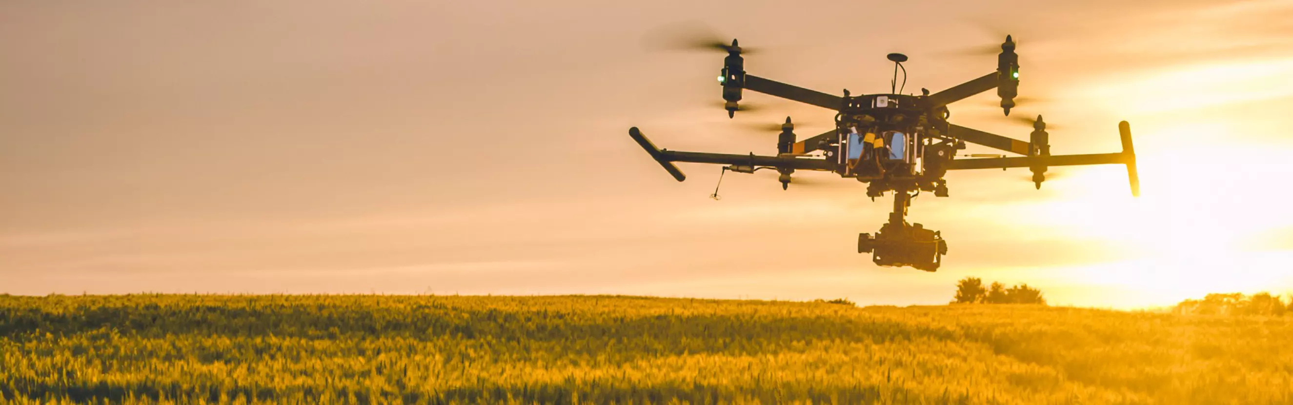 2025-06_GettyImages-1094620200_Drone in a wheat field_cropped.jpg