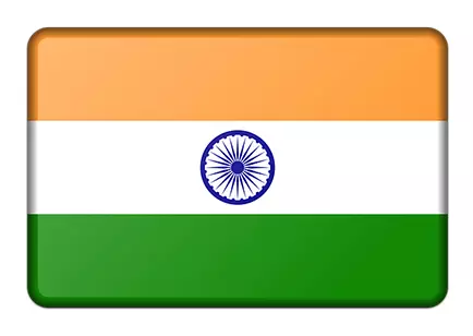 India Flag Button.jpg