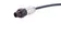 M12 A-cod 4-pol st/-m/-PUR PPi 1,0m