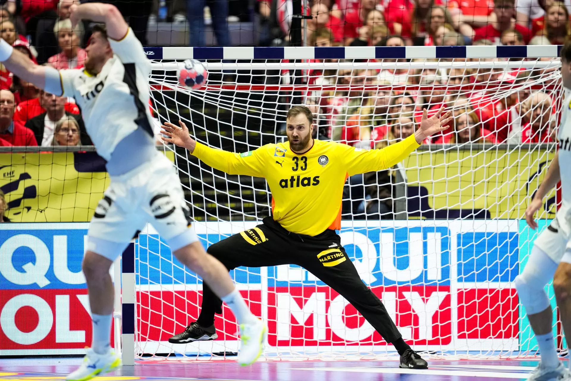 EHF Euro 2026 - Germany : France