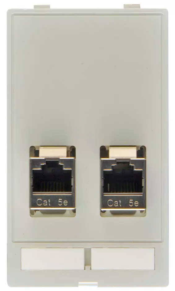 Data module (2x RJ45)