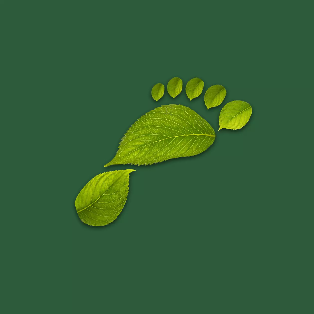 Carbon Footprint Image