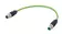 M12 Y-cod 8-pol st/st m/m PUR 5.0m