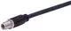 M12 D-cod 4-pol st/- m/- Rail 0.2m