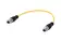 SPE M12 st - st 2xAWG22/7 PUR 0.3m