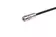 M12 X-coded Cable Assembly- 10m