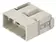 Han M12 Module, male (shield-GND)