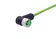 M12 Cable Assembly D-cod an/- f/- 0,5m