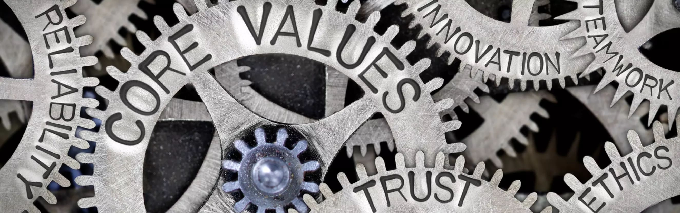 EEtiAmmos - Shutterstock - 725893798.jpg