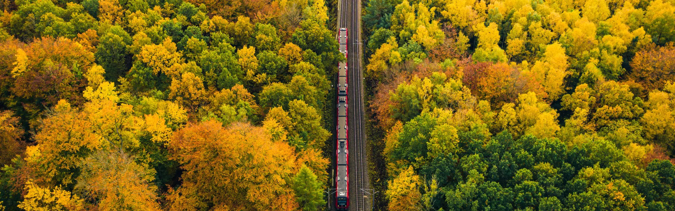 Energy Transition Days 2025 - Panel Rolling Stock