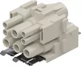 Han-Mod_M_SHLD.P_4/4_F_D_CRT