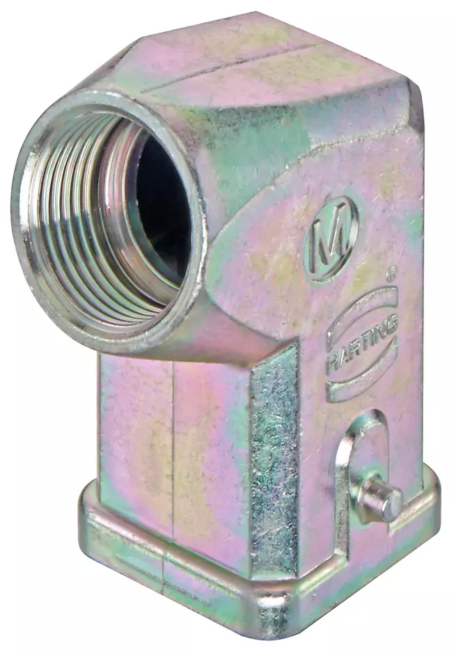 Han 3 EMC HOOD ANGLED ENTRY 2PEGS M20