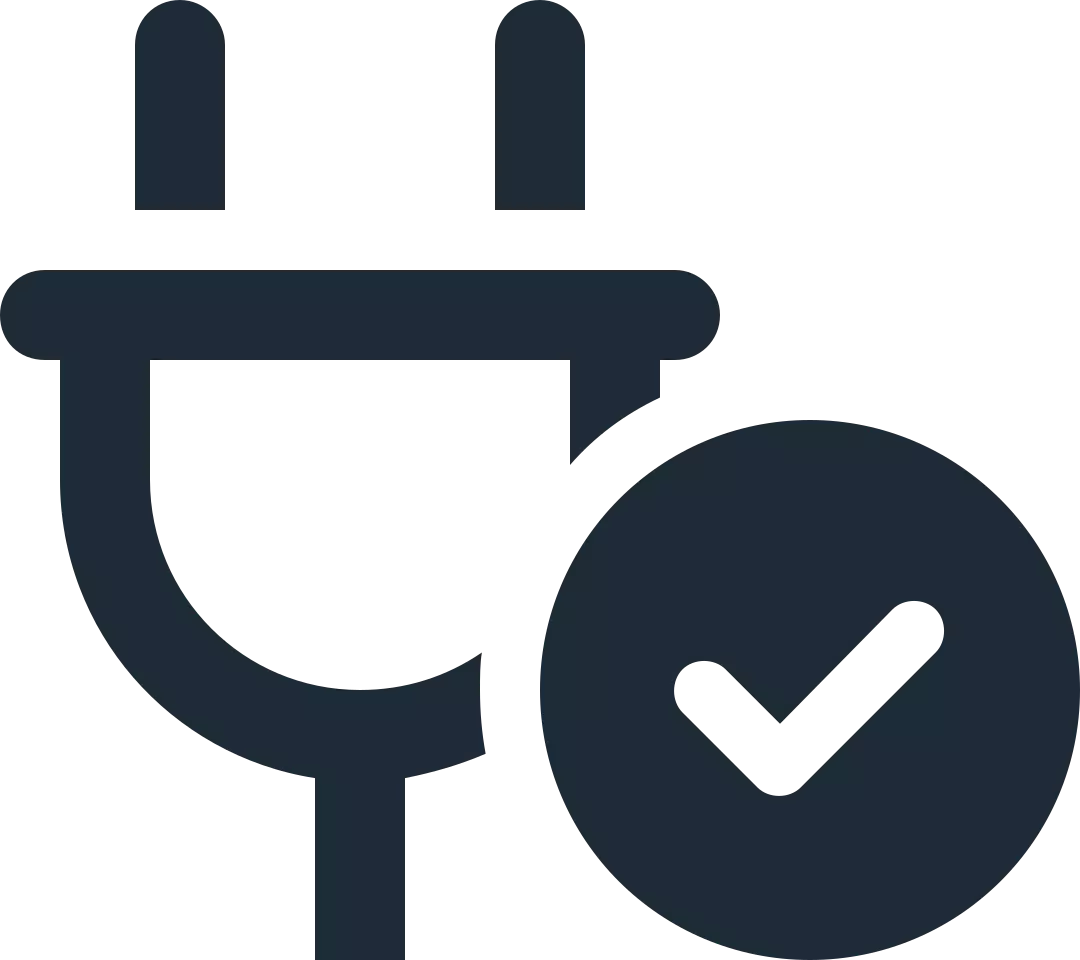 Icon plug circle check