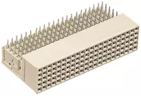 R-A-FEMALE-MODULE-B19