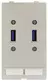 Data module (2x USB)