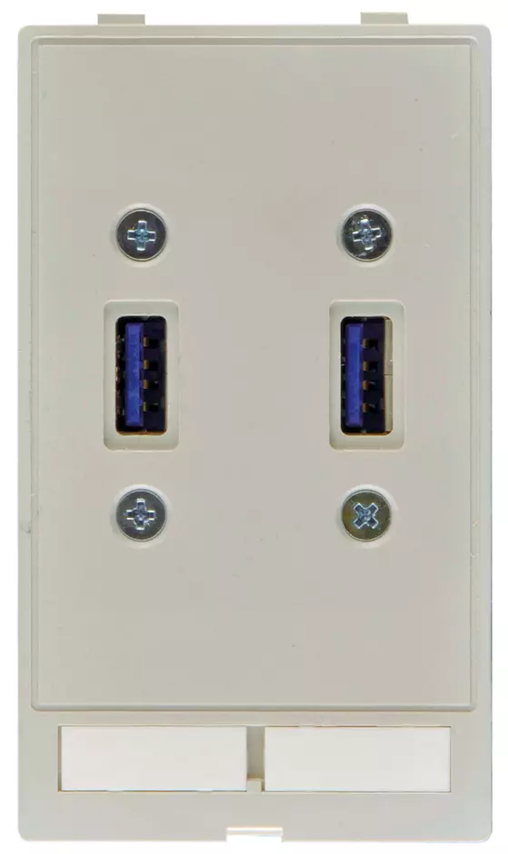 Data module (2x USB)