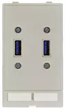 Data module (2x USB)