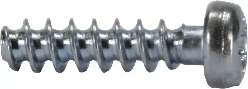 DIN-Power-screw for plastic 2,2x9,5-PZ1
