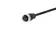 Powercbl 7/8" f 4G1,5mm² 3+PE 1,5m