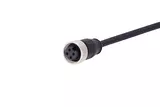 7/8 Cable Assembly 4-pole st/- f/- 1,5m