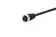 7/8 Cable Assembly 2p+PE st/- f/- 0,2m