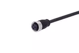 7/8 Cable Assembly 2p+PE st/- f/- 0,2m