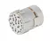 M23 17 Female -C